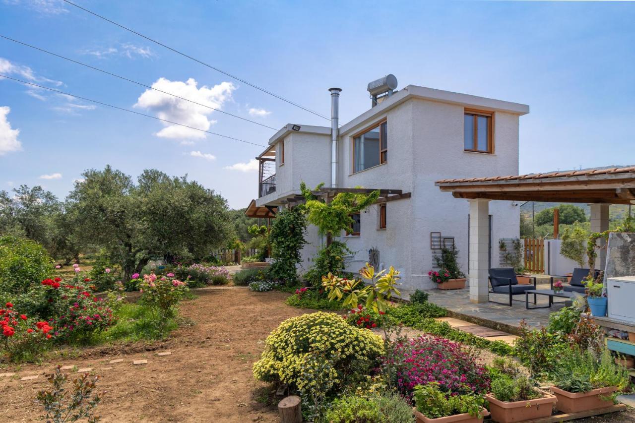 Ferienhaus Eliva House Chania (Crete)