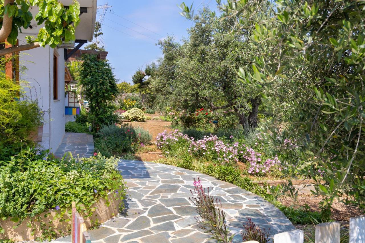 Eliva House Ferienhaus *