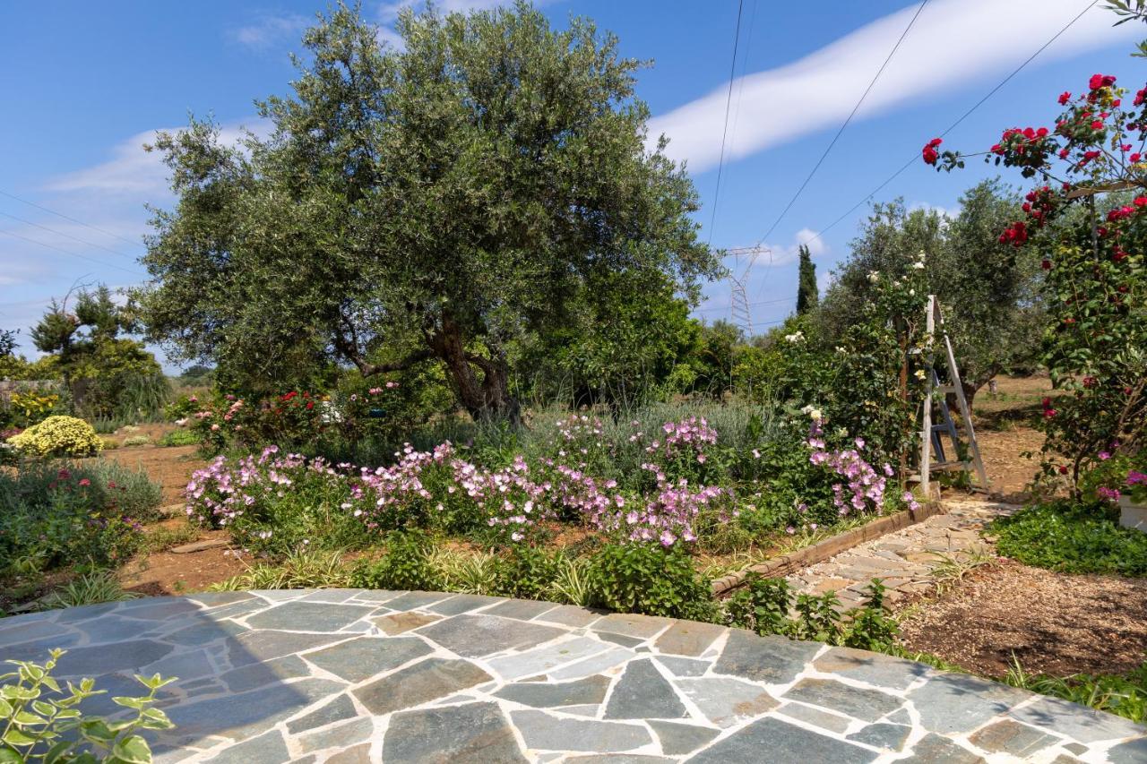 Eliva House Ferienhaus Chania (Crete)