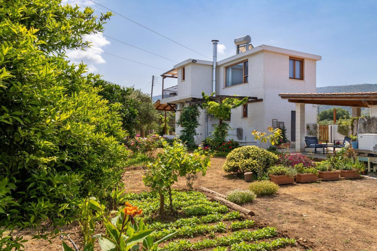 Ferienhaus Eliva House *