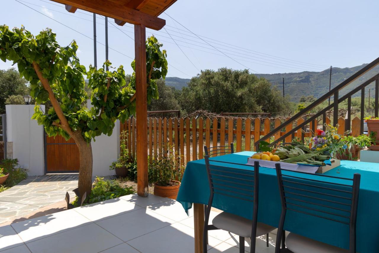 Eliva House Ferienhaus