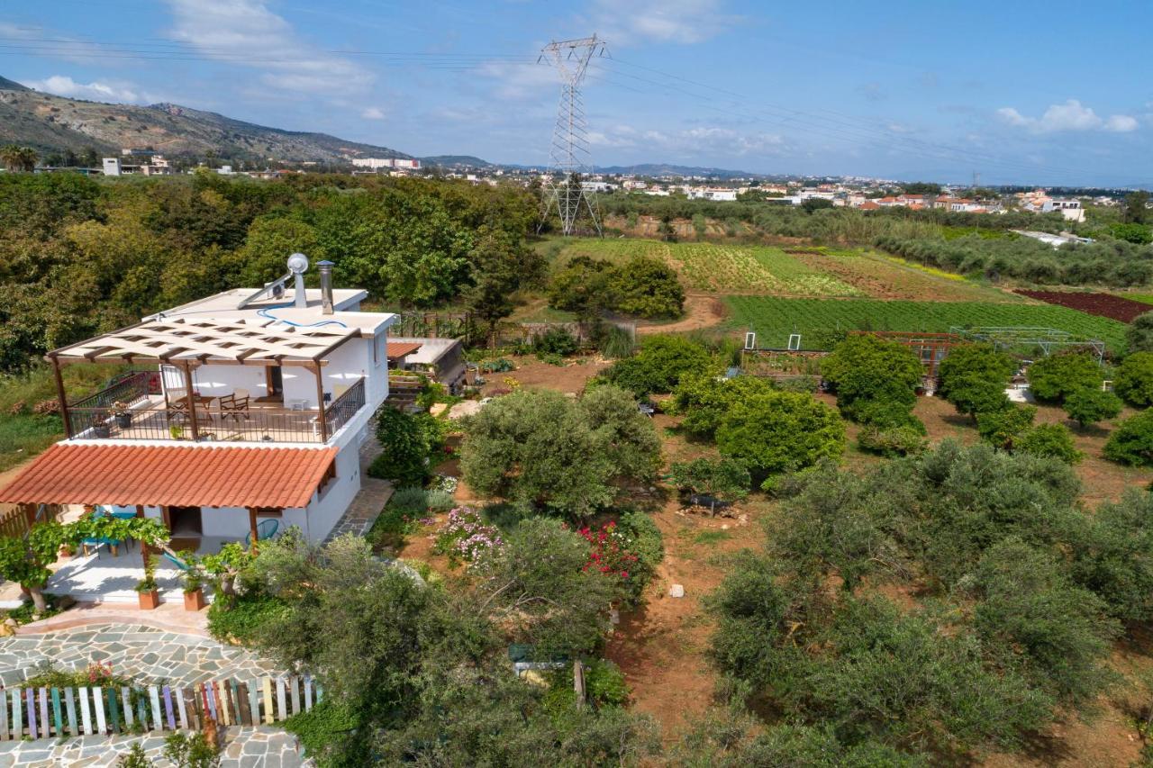 Ferienhaus Eliva House *